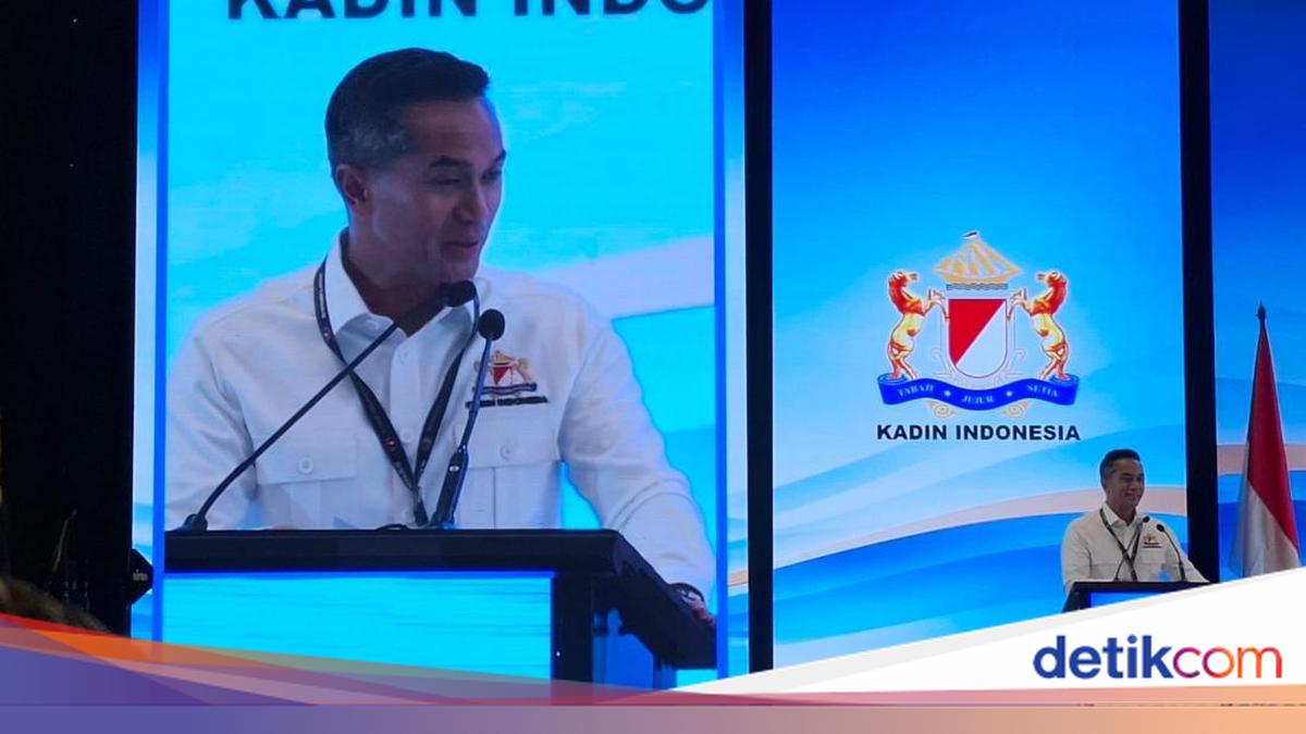 Jawaban Bos Kadin soal Tudingan RI di Ambang Krisis